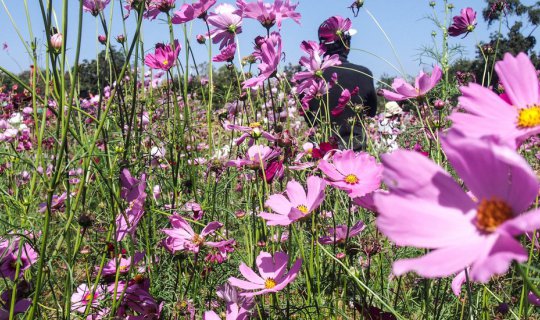 cover โคราชบ้านเอ็ง''งงงง''งงงง ไปตลาด 100 ปี เมืองย่า-อนุสาวรีย์ท้าวสุรนารี-สวนสัตว์นครราชสีมา-เกษตร 100 ไร่