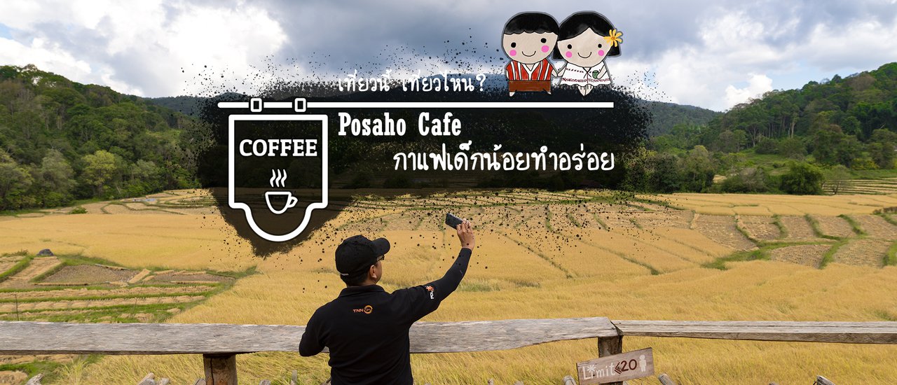 cover Posaho CAFE กาแฟเด็กน้อยทำอร่อย @ ทุ่งนาบ้านหัวแม่สุริน