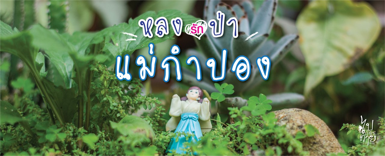 cover ลุยป่า "แม่กำปอง" ลิ้มลองรสกาแฟ