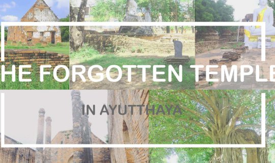 cover THE FORGOTTEN TEMPLE