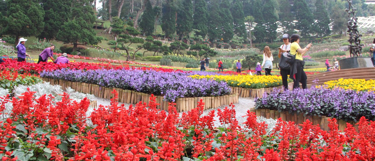 cover วันเดียวเที่ยวเชียงราย : ไหว้พระ ชิมชา ช้อปปิ้ง