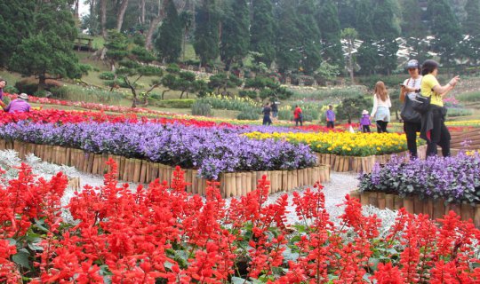 cover วันเดียวเที่ยวเชียงราย : ไหว้พระ ชิมชา ช้อปปิ้ง