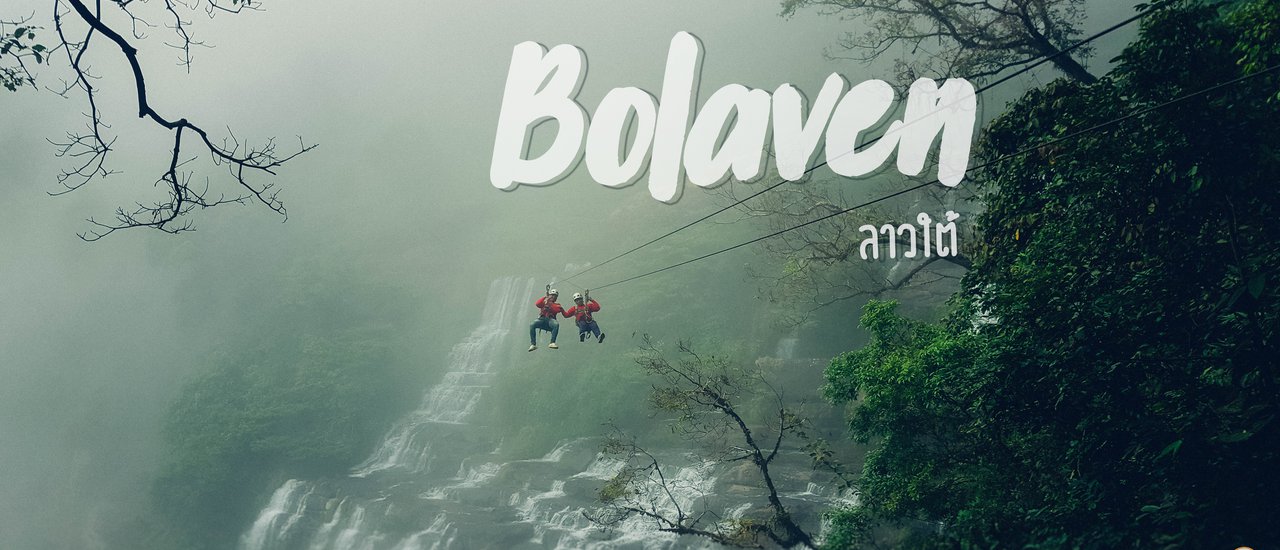 cover โลดโผน โหนสลิง ไปเป็นลิงที่โบลาเวน (Bolaven)