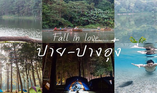 cover ปาย-ปางอุ๋ง : หนีเมืองเข้าป่า สัมผัสลมหนาว บนเส้นทางสุดโรแมนติก