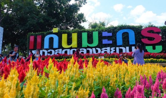 cover แก่นมะกรูด @ อุทัยธานี หนาวสุดกลางสยาม ดอกไม้งามกลางหุบเขา