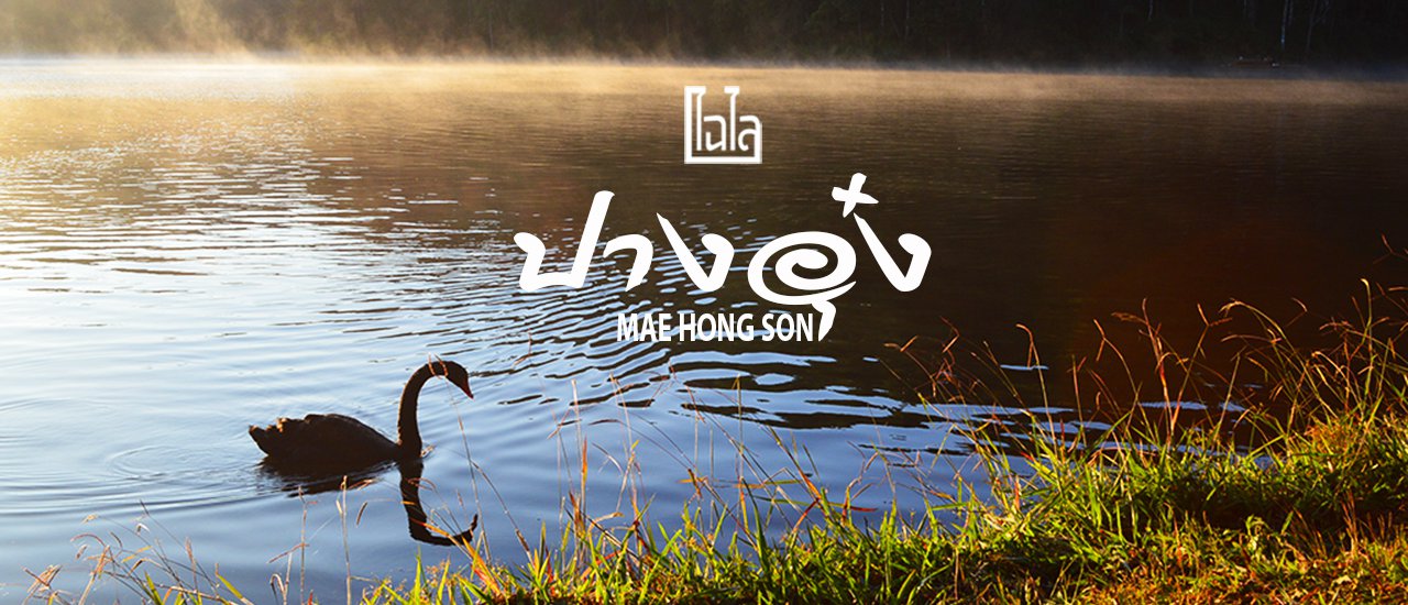 cover กางเต็นท์นอนหนาว.. ที่ ปางอุ๋ง จ.แม่ฮ่องสอน