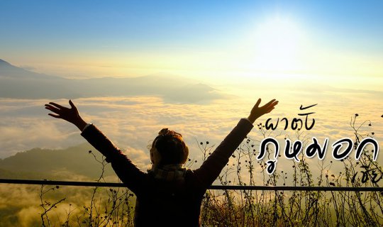 cover ดอยผาตั้ง สวย 360 องศา !! (ผาตั้ง ภูหมอก รีสอร์ท)