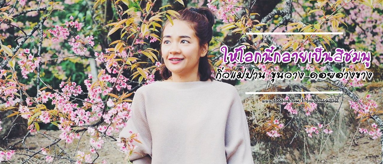 cover ให้โลกนี้กลายเป็นสีชมพู -ทริปหนาว "เชียงใหม่" ไปพร้อมกับดอกพญาเสือโคร่ง-