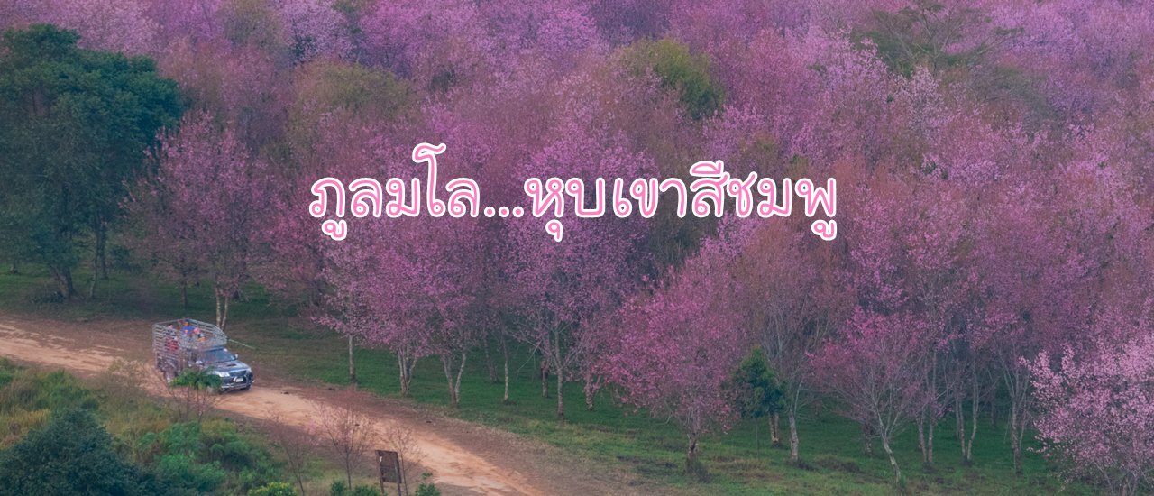 cover ภูลมโล..หุบเขาสีชมพู