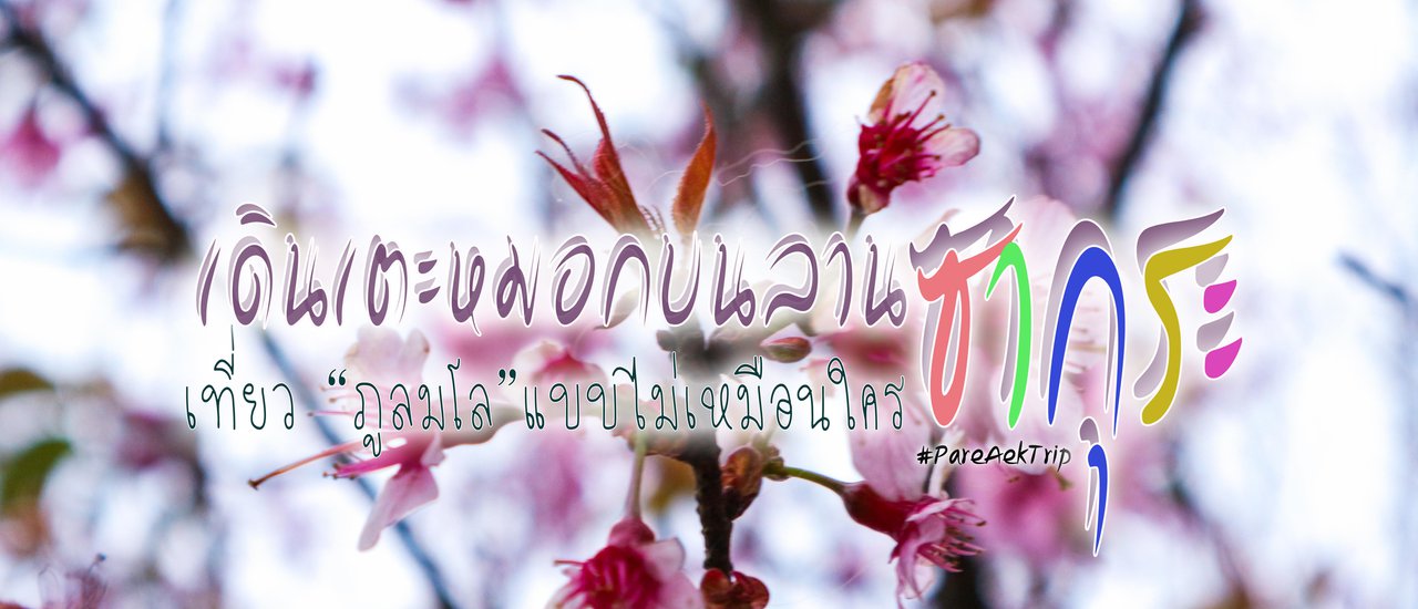 cover เที่ยว "ภูลมโล" แบบไม่เหมือนใคร กับ PareAekTrip