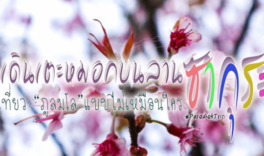 cover เที่ยว "ภูลมโล" แบบไม่เหมือนใคร กับ PareAekTrip