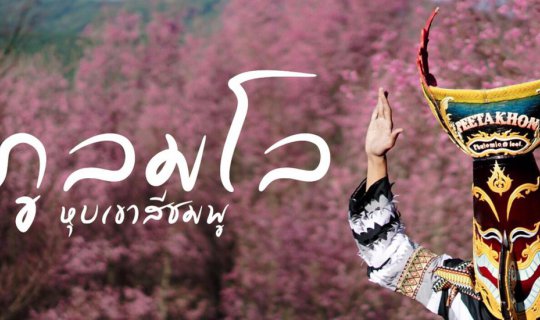 cover พาผีตาโขน ไปชมดอกซากุระ ณ ภูลมโล