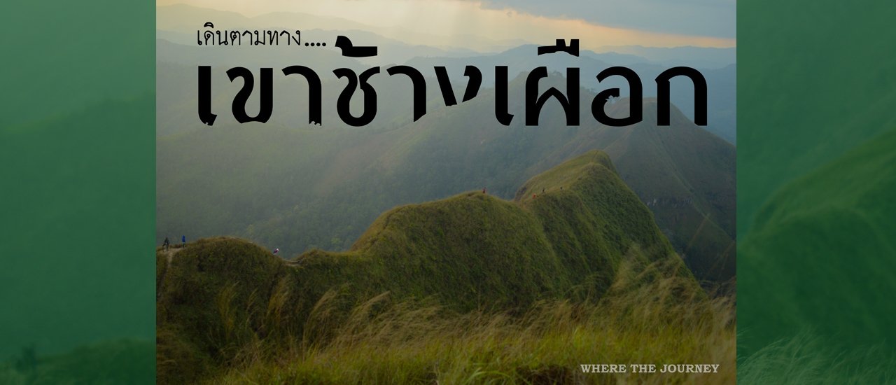 cover เดินตามทาง...เขาช้างเผือก