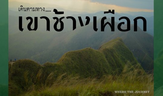 Cover เดินตามทาง...เขาช้างเผือก...