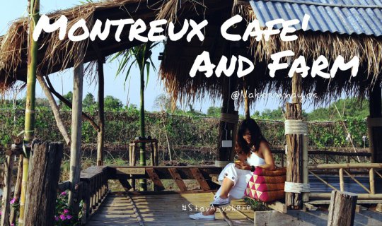 cover "Montreux Cafe' and Farm" คาเฟ่กลางนา :>