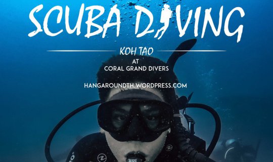 cover เปิดประสบการณ์เรียน Scuba Diving ครั้งแรก | Coral Grand Divers @ เกาะเต่า