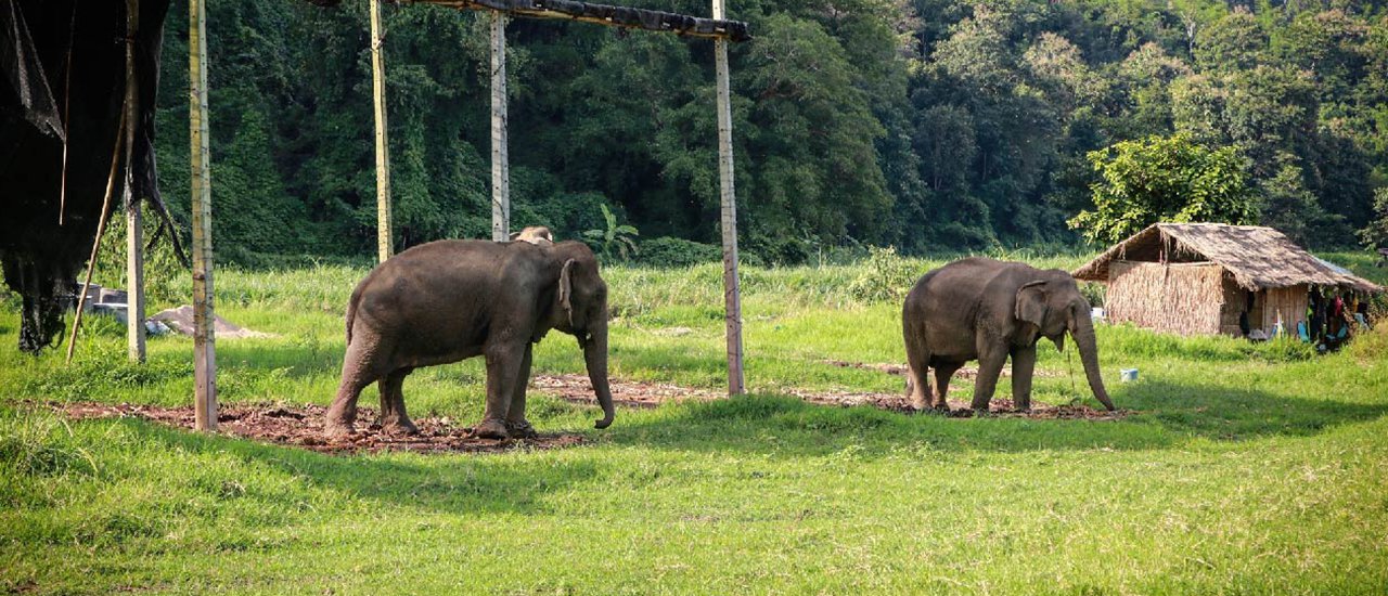cover From Mueang Chiang Mai to Amphoe Mae Wang, beautiful destination for nature