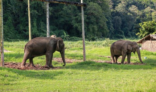 cover From Mueang Chiang Mai to Amphoe Mae Wang, beautiful destination for nature
