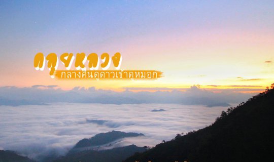 cover เดินป่า คลุยหลวง จ.ตาก เส้นทางแห่งทะเลหมอก แค่อยากบอกว่าฟินมาก