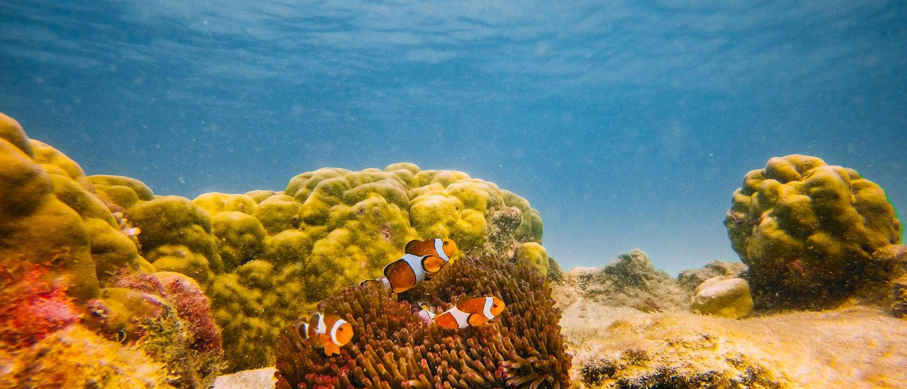 cover เกาะจัน ( จาน ) โอโห้ น้องๆ อันดามัน แต่ใกล้แค่ชลบุรี