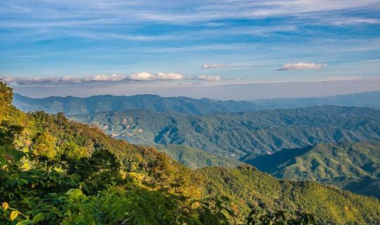 cover ที่เที่ยว:น่าน...เมืองน่าเที่ยว หนึ่งเดียวในโลก "ดอกชมพูภูคา"