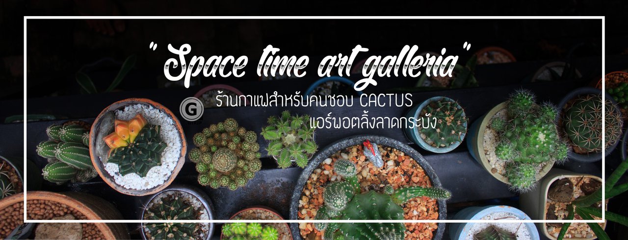 cover ร้านกาแฟสำหรับคนชอบ Cactus - Spacetime Art Galleria , แอร์พอตลิ้งลาดกระบัง