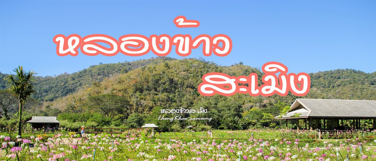 cover “หลองข้าวสะเมิง” ที่พักกลางธรรมชาติที่สดชื่น