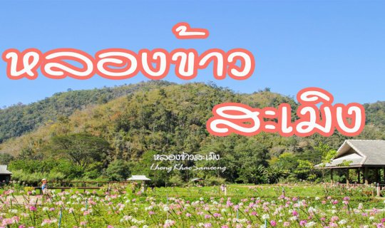 cover “หลองข้าวสะเมิง” ที่พักกลางธรรมชาติที่สดชื่น