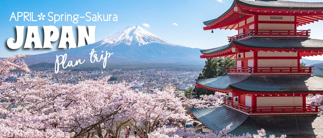 cover Let's go to Japan! : Cherry Blossoms in April 🌸💙