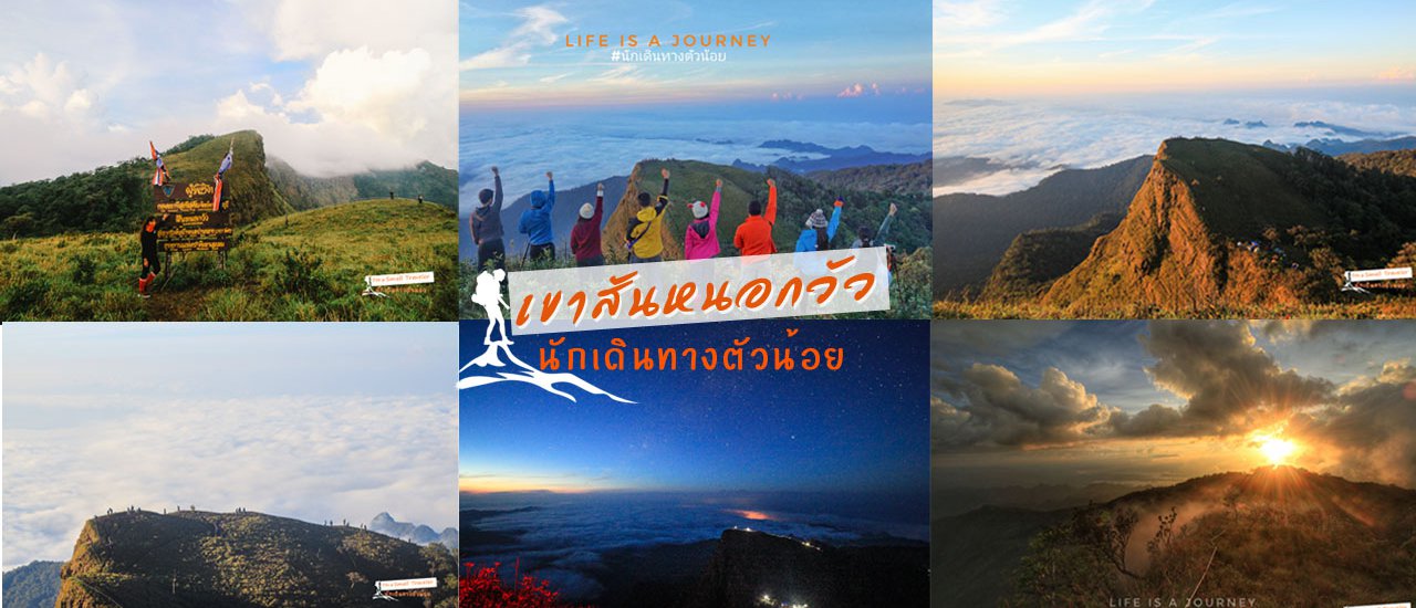 cover เขาสันหนอกวัว กาญจนบุรี เดินป่าทีละก้าว เราจะร้าวไปด้วยกัน