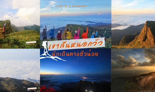 cover เขาสันหนอกวัว กาญจนบุรี เดินป่าทีละก้าว เราจะร้าวไปด้วยกัน
