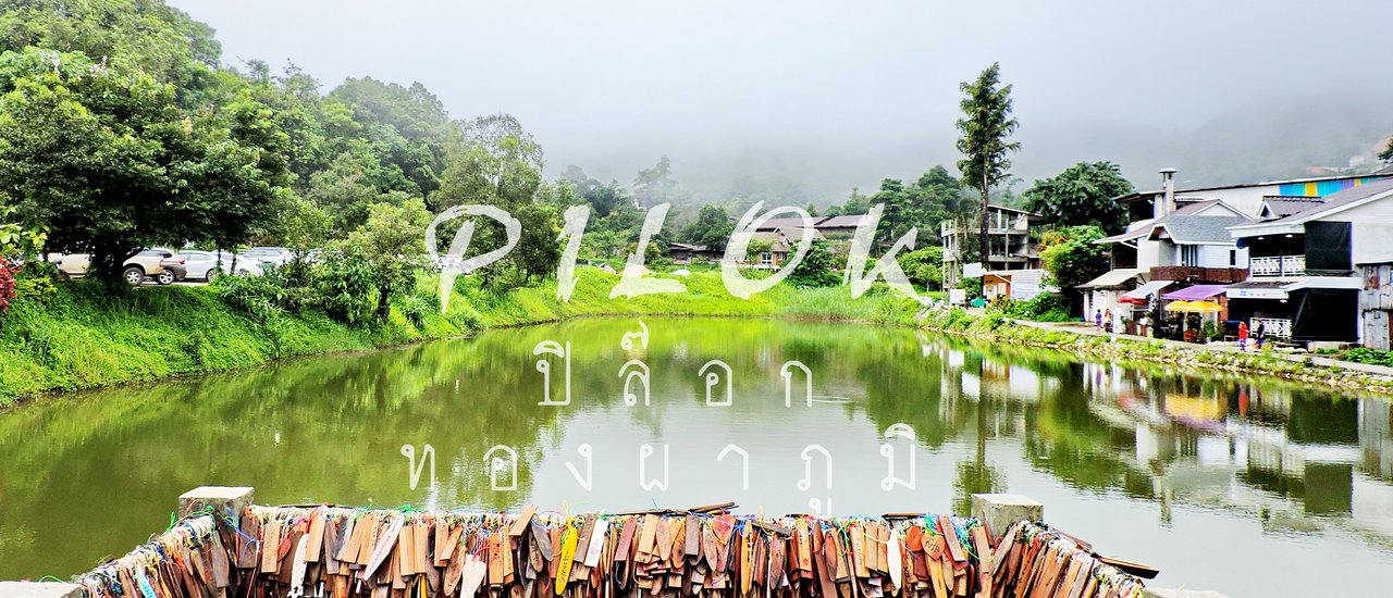 cover Pilok - Thong Pha Phum
