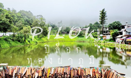 cover Pilok - Thong Pha Phum