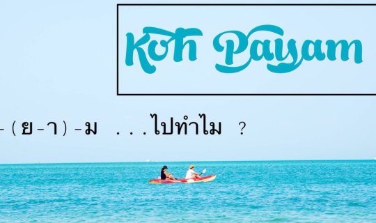 cover เกาะพยาม 239 ( สองสามก้าว ) ก็ไปถึง