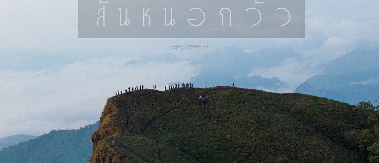 cover เจอกันอีกครั้ง ... สันหนอกวัว