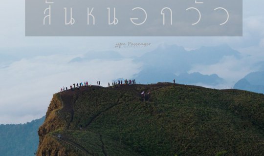 Cover เจอกันอีกครั้ง ... สันหนอกวัว...