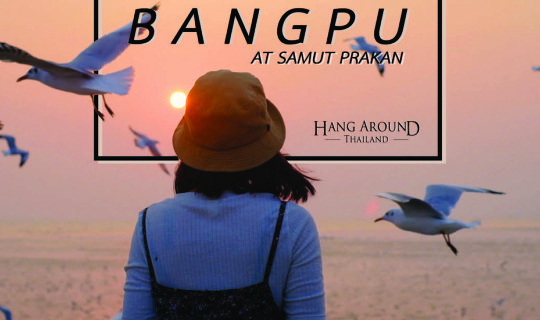 cover นั่งตากลม ชมนก ที่สถานตากอากาศบางปู | บางปู, สมุทรปราการ