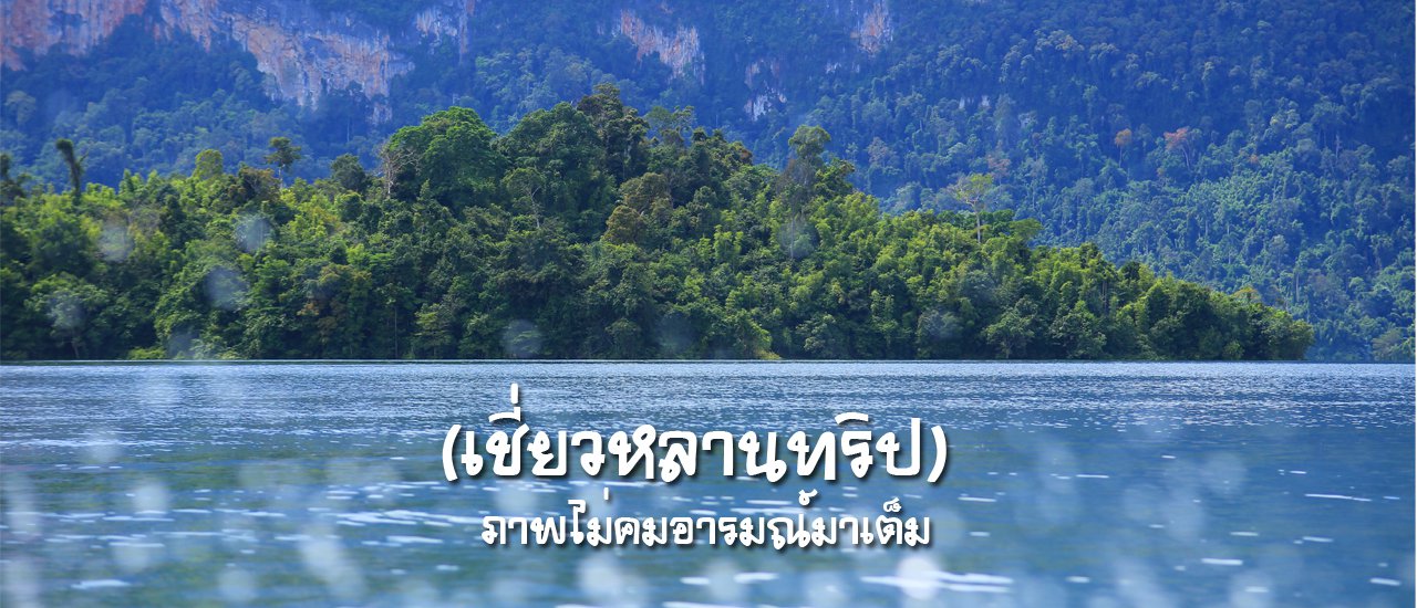 cover (เชี่ยวหลานทริป) ทริปภาพไม่คมอารมณ์มาเต็ม