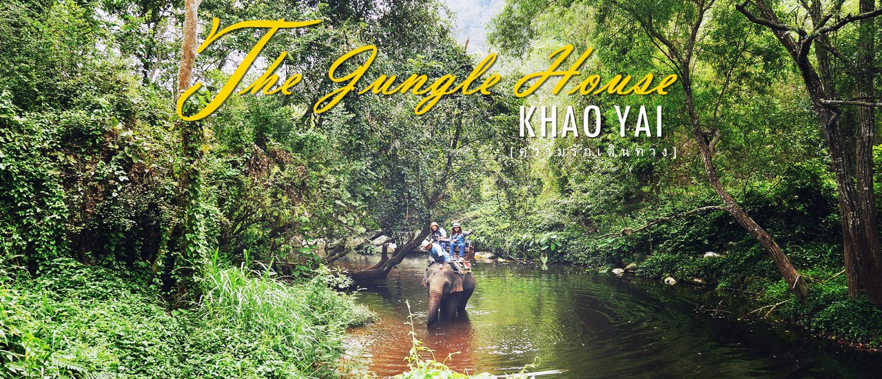 cover The Jungle House เขาใหญ่