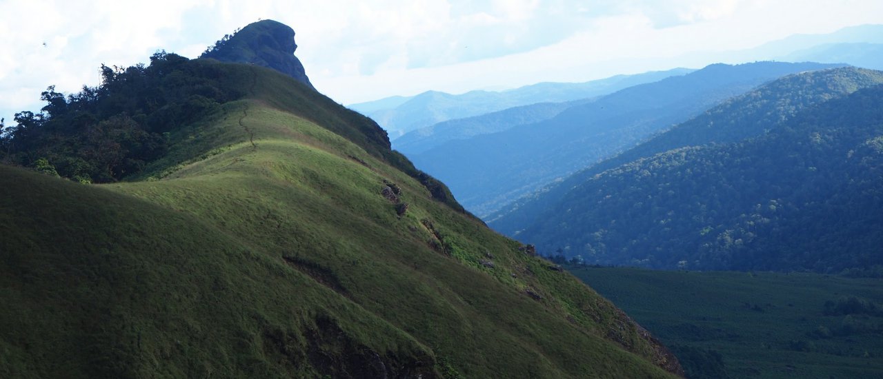 cover เข้าป่าครั้งแรกกับม่อนจอง