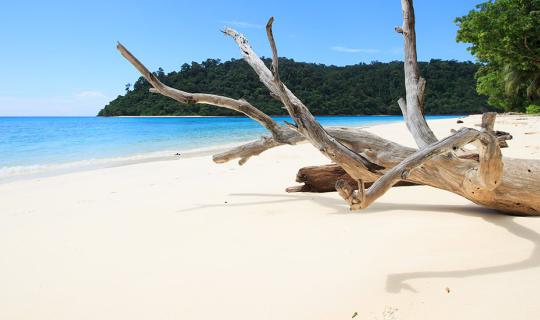 cover “Koh Rok”, A Little Paradise in Andaman