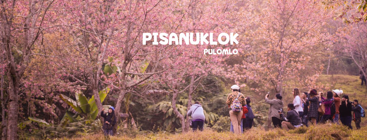 cover ทริป พิษณุโลก ( ขากลับโบกรถ )