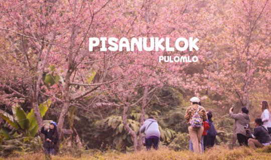 Cover ทริป พิษณุโลก ( ขากลับโบกรถ )...