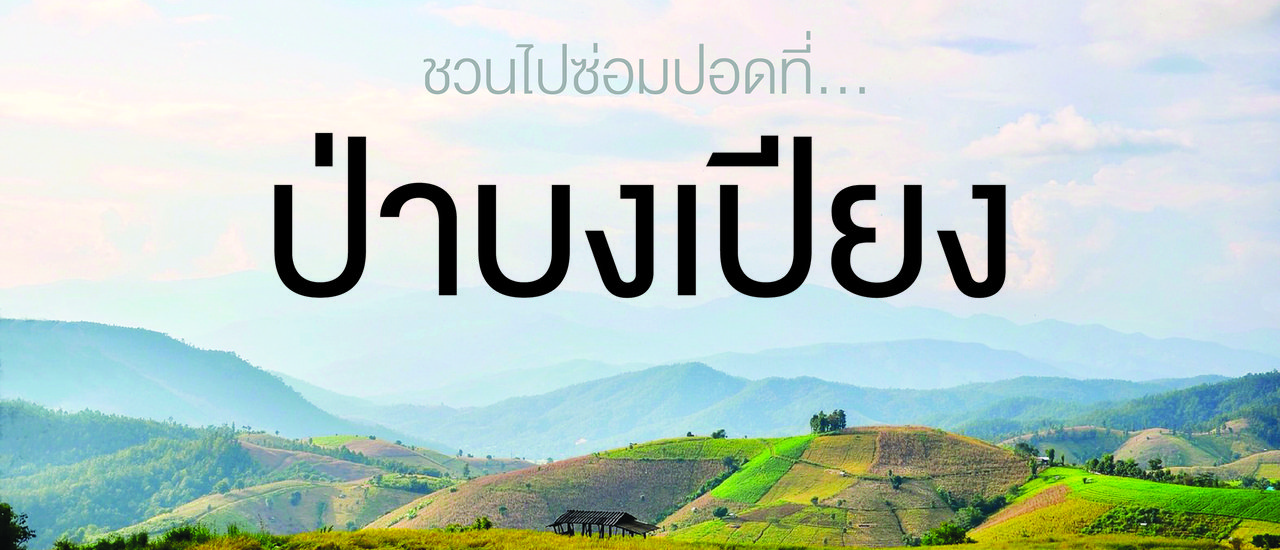 cover ชวนไปซ่อมปอดที่ ..."ป่าบงเปียง"