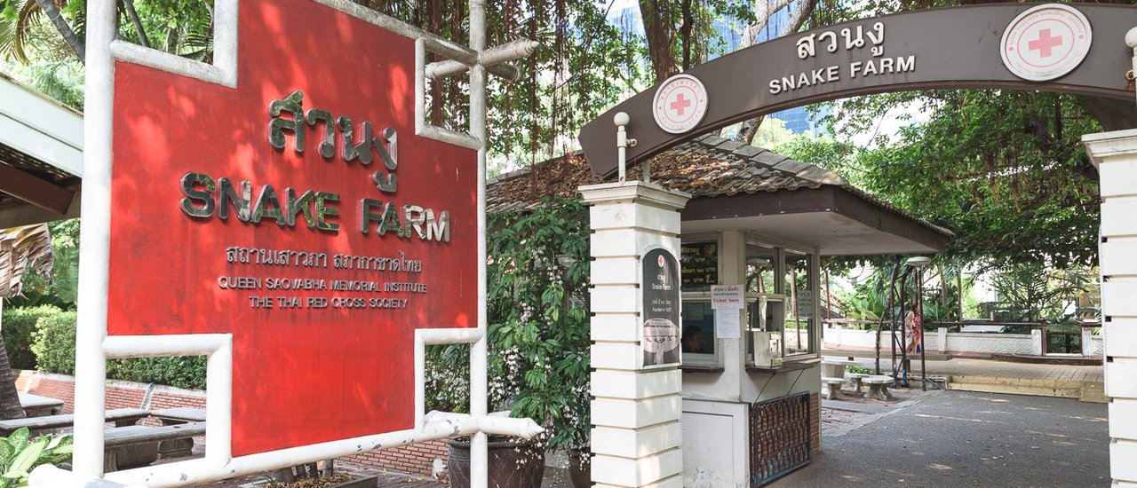 cover เที่ยวสวนงู ดูไปดูมา พวกแกก็น่ารักดีนะ