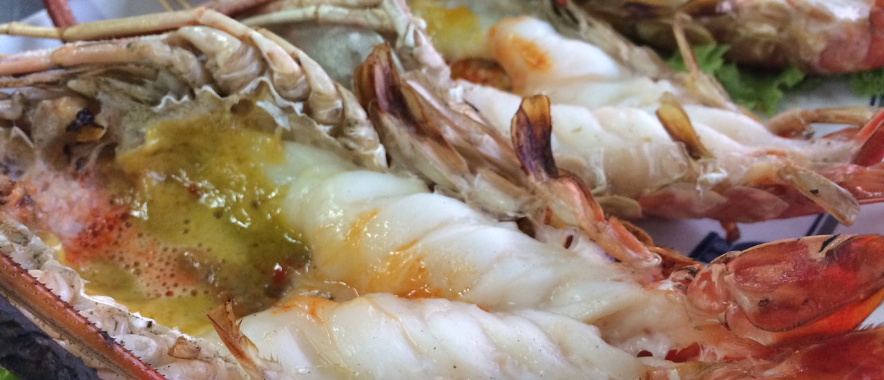 cover กิน “กุ้งเผา” 2 จังหวัดถูกแพงเลือกได้