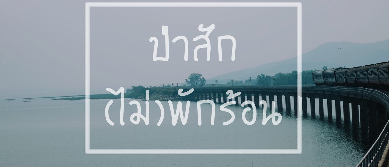 cover One day trip ป่าสัก(ไม่)พักร้อน