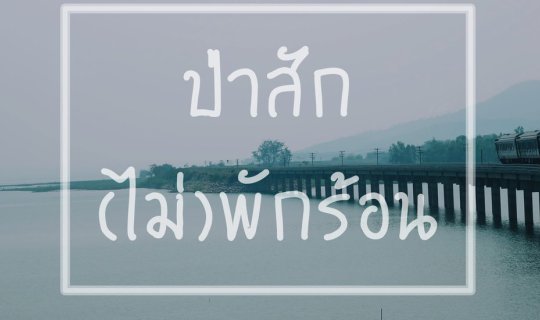 Cover One day trip ป่าสัก(ไม่)พักร้อน...