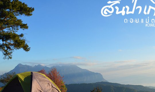 cover นอนเคียงดาว นอนเชียงดาว ที่.. สันป่าเกี๊ยะ ดอยแม่ตะมาน