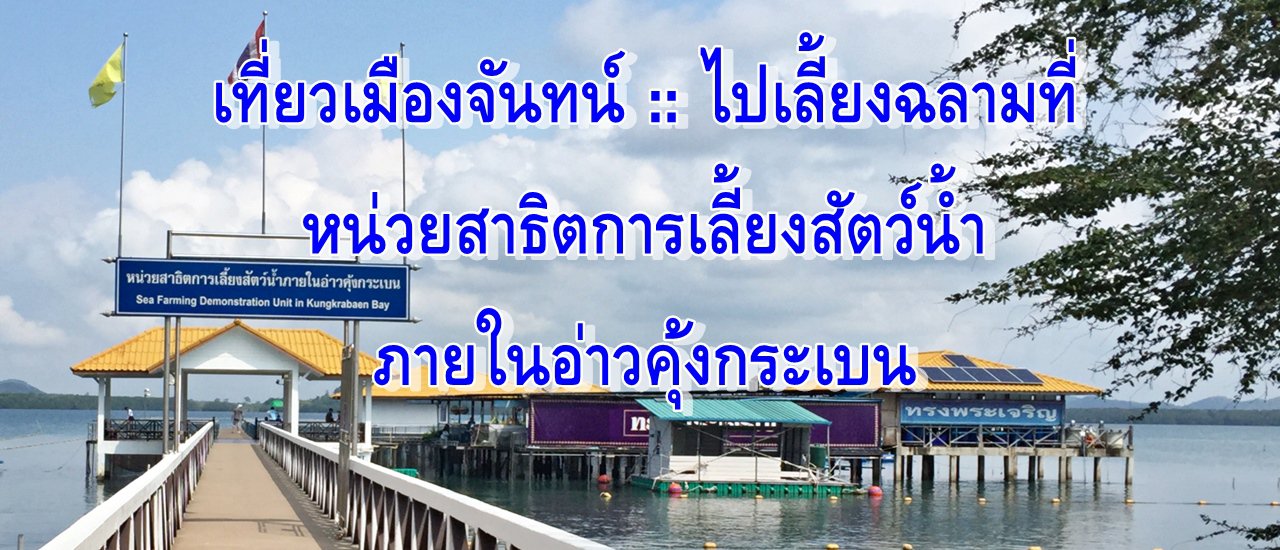 cover เที่ยวเมืองจันทน์ :: "ไปเลี้ยงฉลาม" ที่ หน่วยสาธิตการเลี้ยงสัตว์น้ำ ภายในอ่าวคุ้งกระเบน